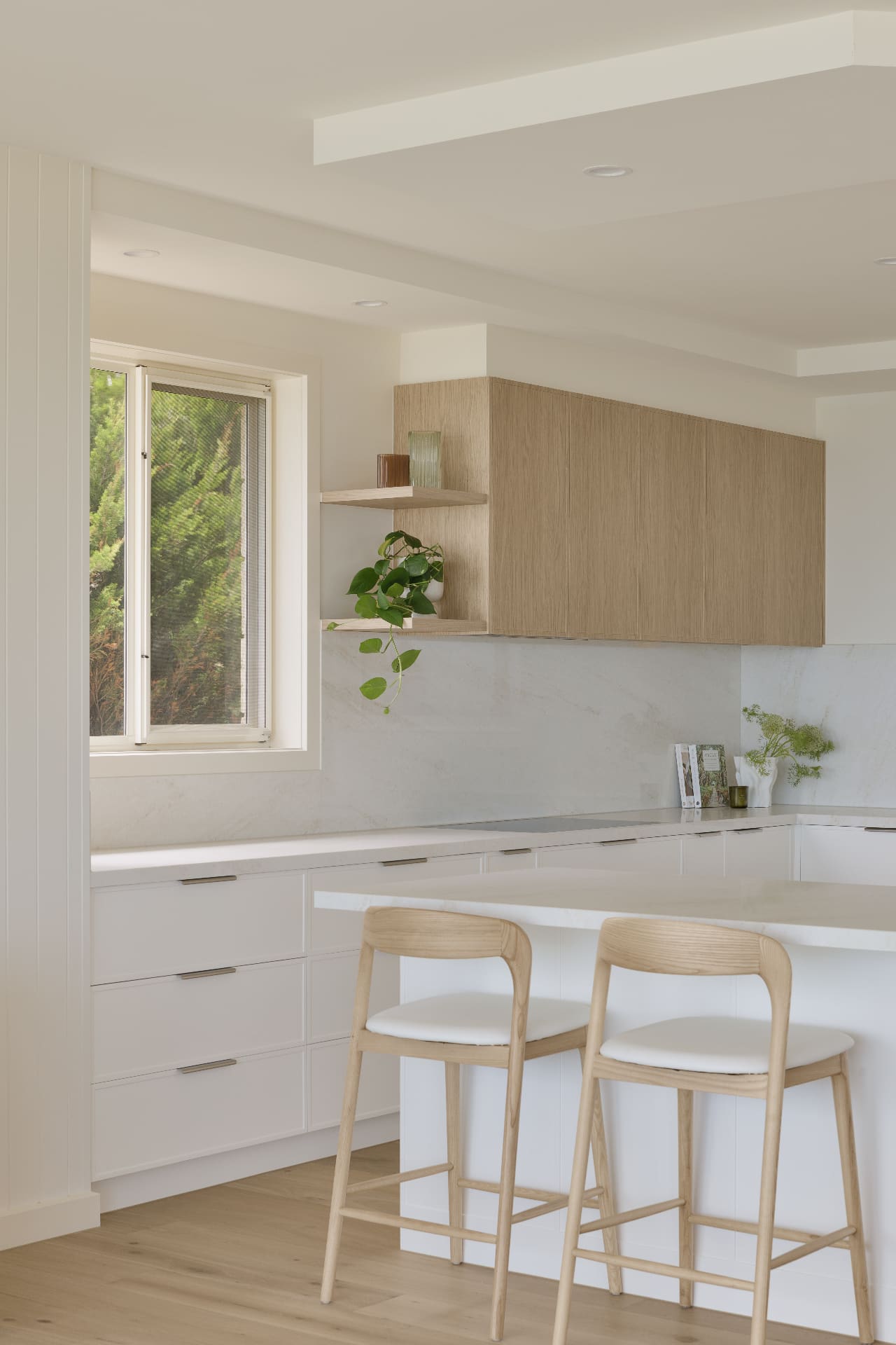 Sturio Project - Image 6